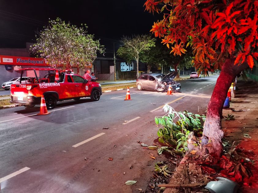 Carro capota na Pedro Botesi