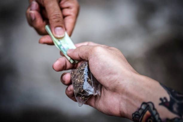 ​Polícia Militar apreende grande quantidade de drogas em Mogi Guaçu