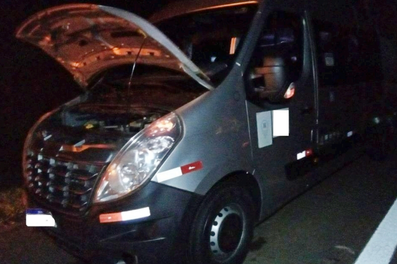 ​Animal causa acidente na SP 340.