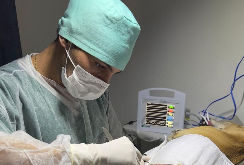 BEA intensifica atendimentos gratuitos aos cães e gatos