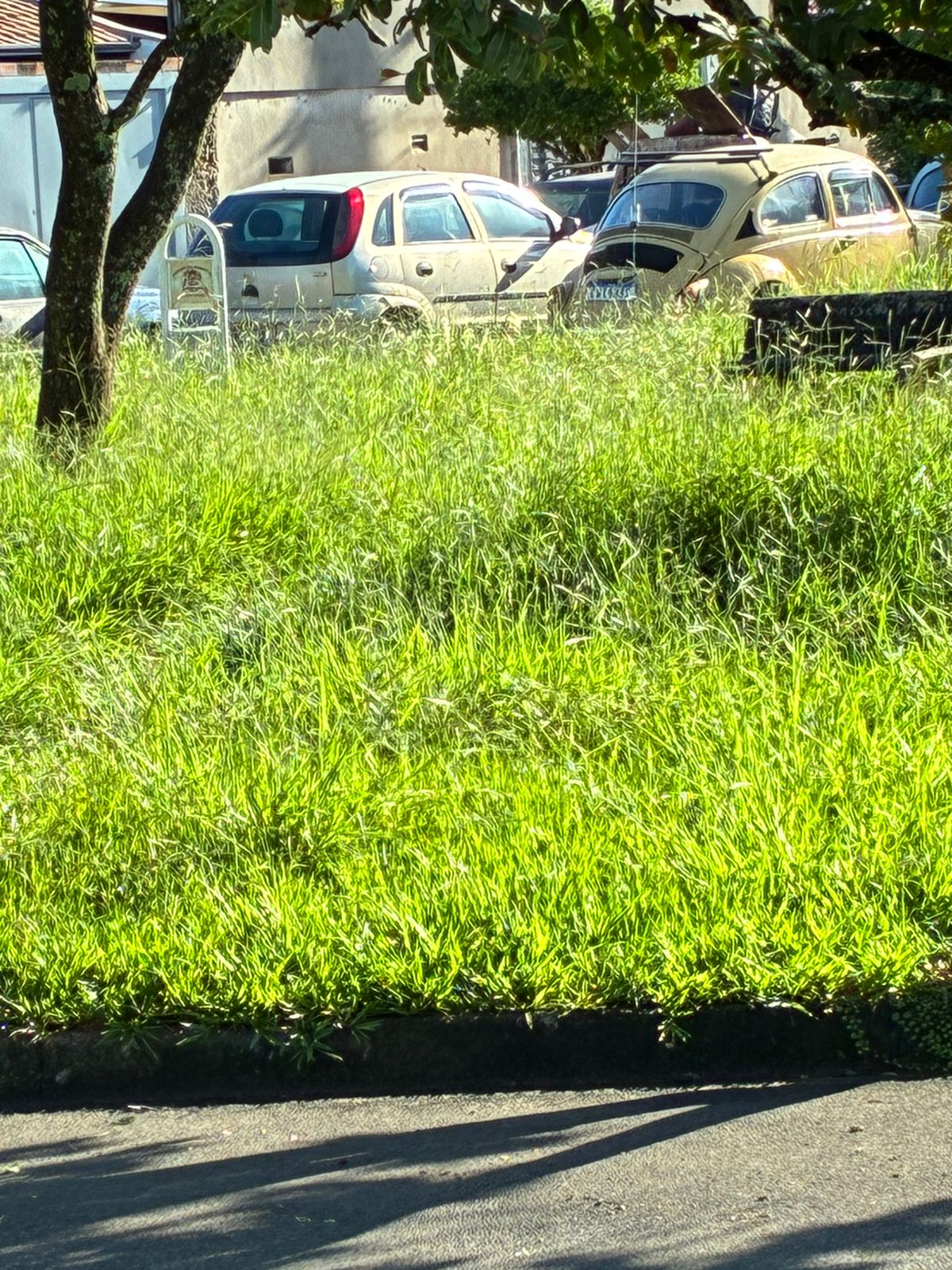 Moradores de Martim Francisco cobram presença e compromisso dos representantes políticos