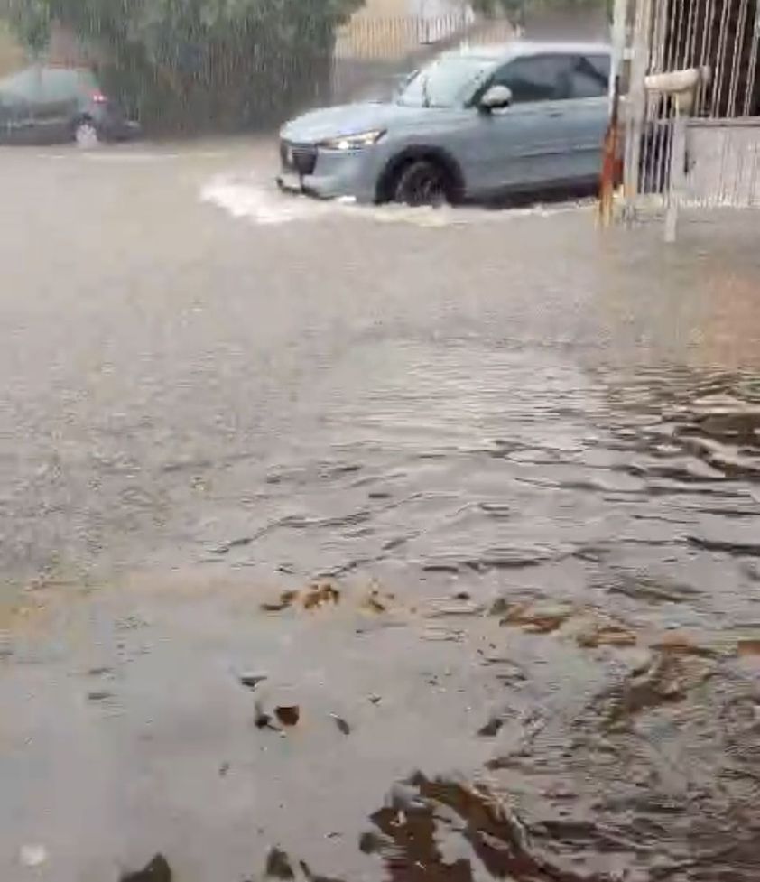 ​Chuva provoca alagamentos e queda de árvores em Mogi Mirim