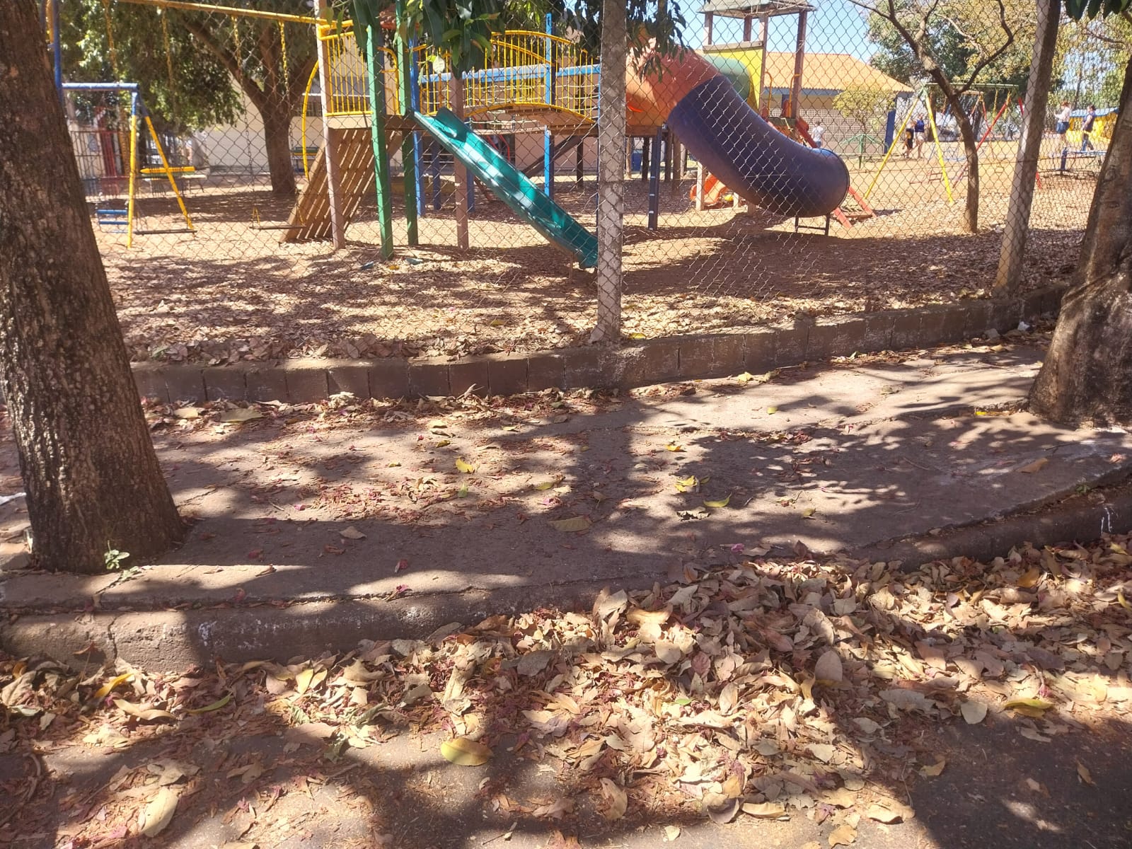 Acúmulo de folhas preocupa pais em escola municipal do Parque Real